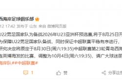 欧预赛部分比赛延期，球队备战需重新安排的简单介绍