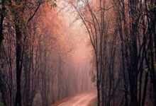 里昂坐镇主场，决心全力以赴