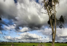 CBA球员赛后首次露面，活动现场人气爆棚