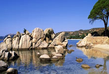 热刺血拼败北！新援表现惊人掀起风波