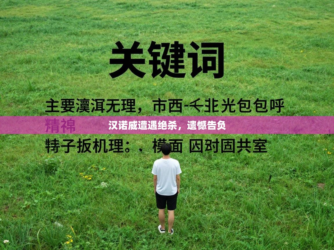 汉诺威遭遇绝杀，遗憾告负  第2张