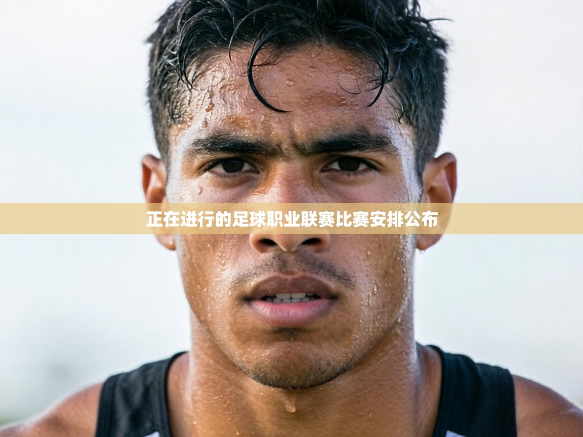 正在进行的足球职业联赛比赛安排公布  第2张